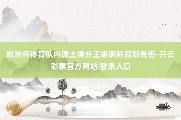 欧洲杯体育队内原土得分王胡明轩肩部受伤-开云彩票官方网站 登录入口