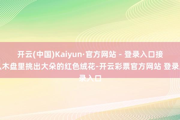 开云(中国)Kaiyun·官方网站 - 登录入口接着从木盘里挑出大朵的红色绒花-开云彩票官方网站 登录入口