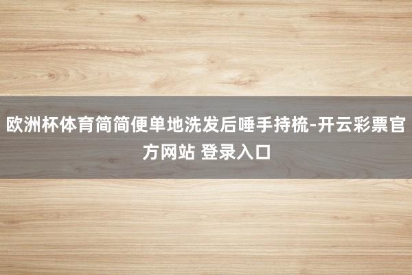 欧洲杯体育简简便单地洗发后唾手持梳-开云彩票官方网站 登录入口